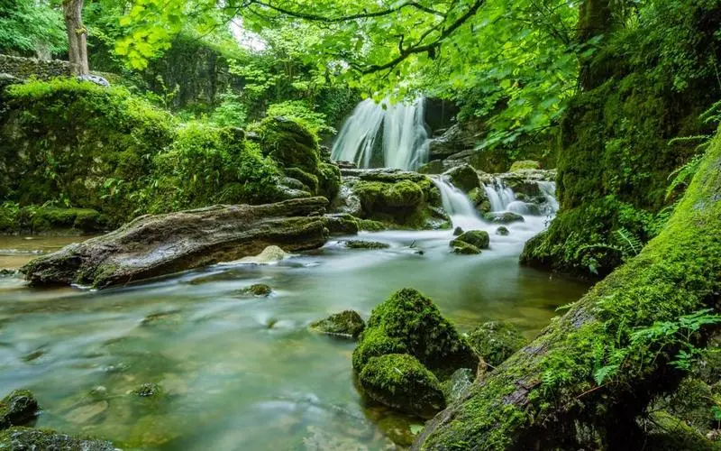 智能系统高精度